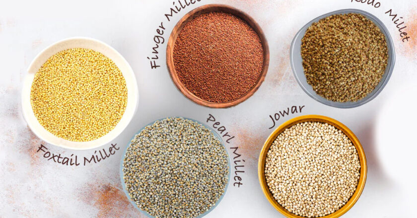 Millet – Varieties of Millets, Their Health Advantages, and Glossary (Kambu, Thinai, Saamai, Varagu, Kuthiraivali, Ragi)