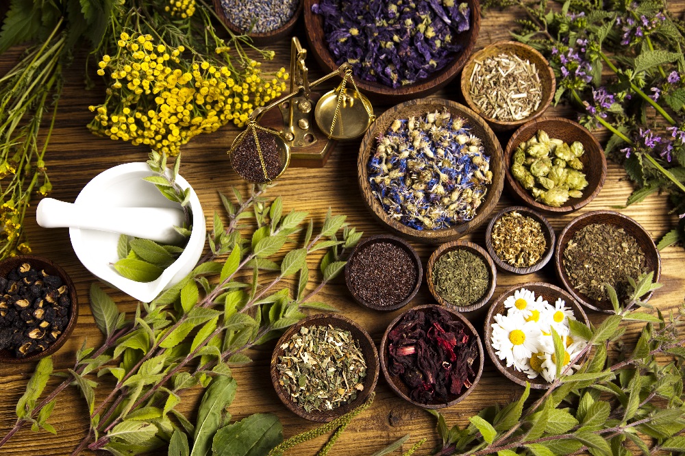 Ayurveda herbs