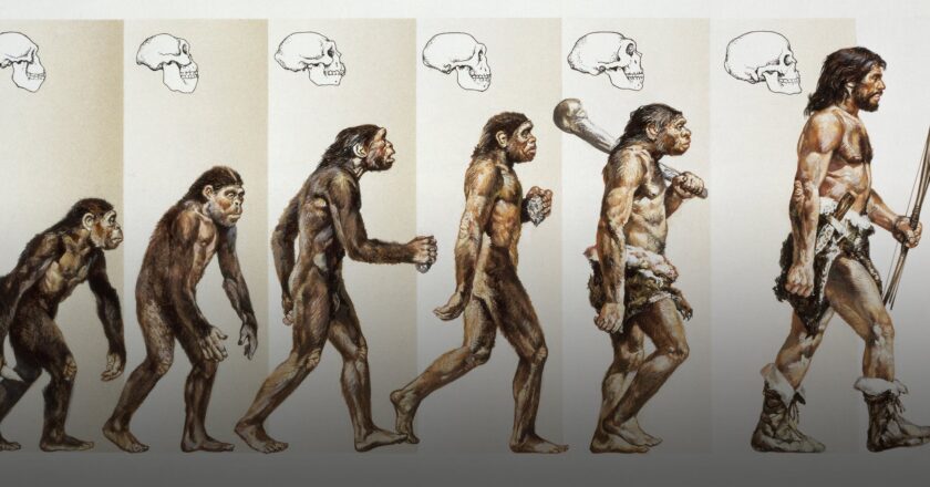 Evolving Minds: The Journey of Human Transformation