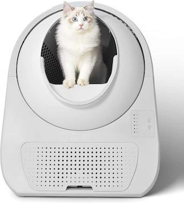 Image for article titled The Best Deals on Pet Gear During October Prime Day