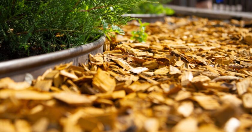 How to Use Wood Chips in Your Yard