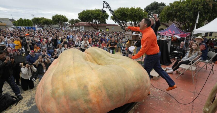 A 2,749-pound pumpkin wins California contest, sets world record