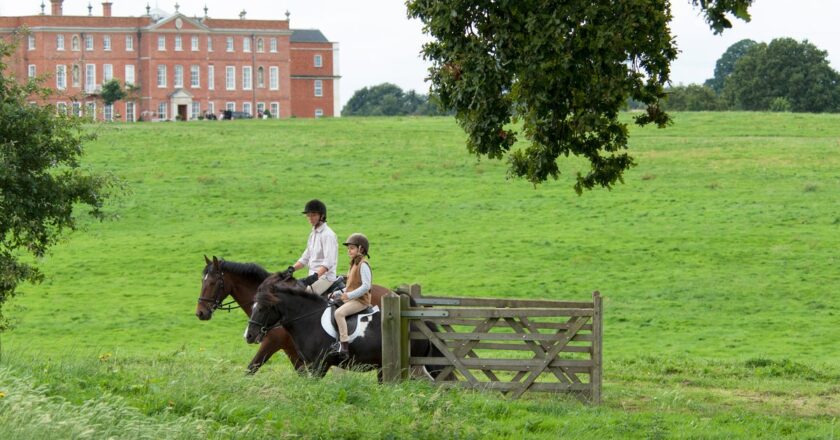 Four Seasons, Hampshire: the best family Christmas escape in the UK?