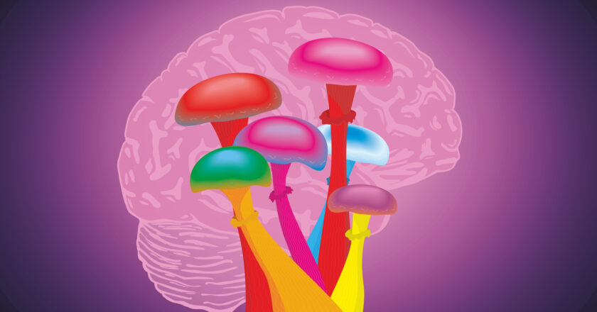 The Evolutionary Origins of Psychedelics