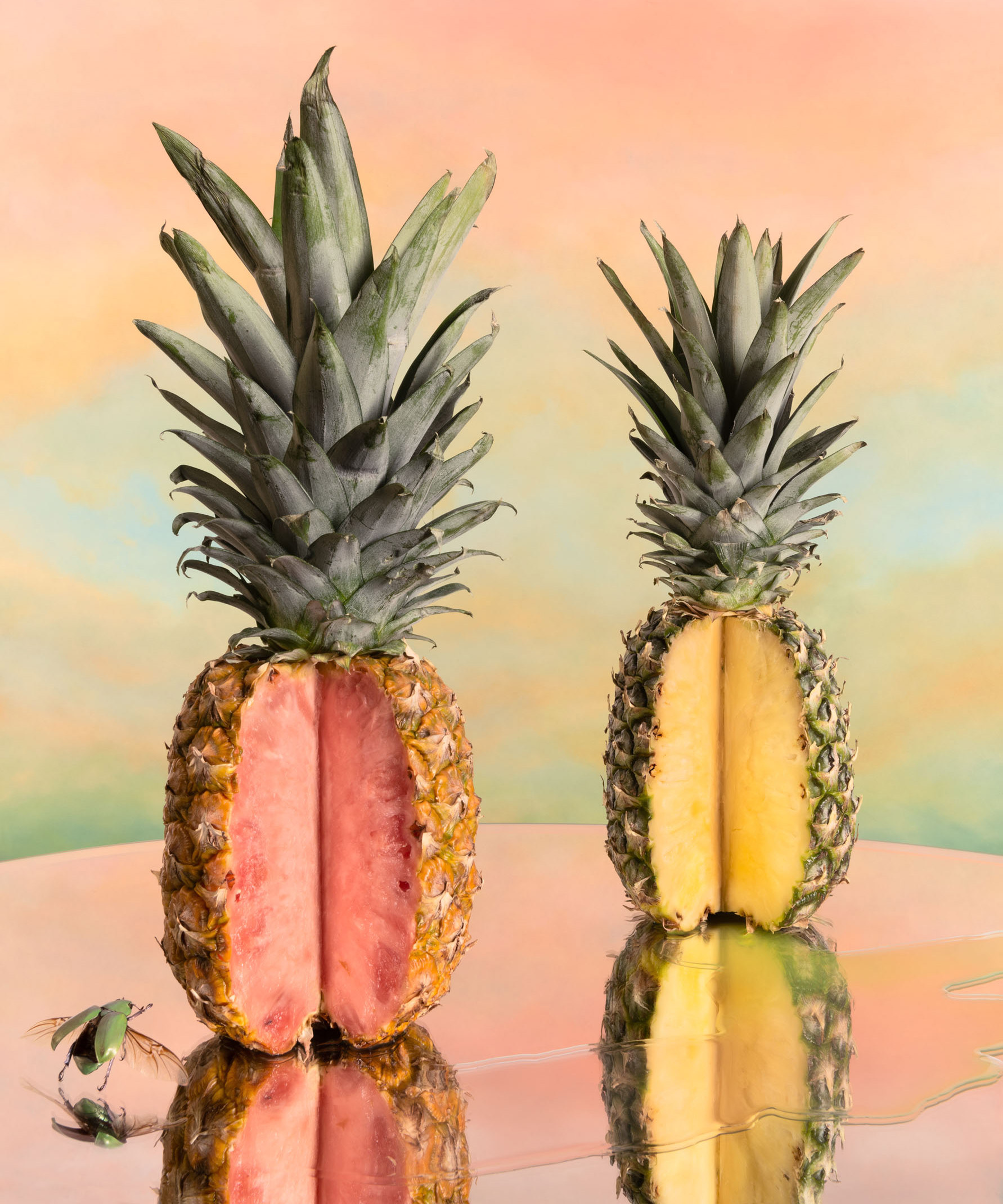 1 jo whaley gmo foods pinkglow pineapple