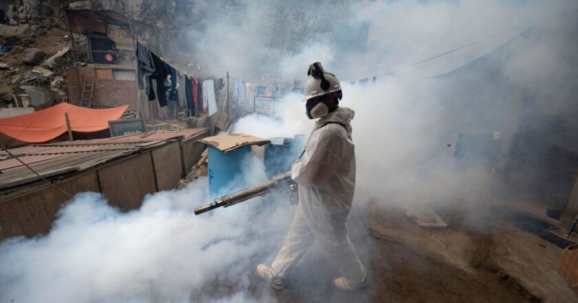 Peru Declares Health Emergency as Dengue Cases Soar