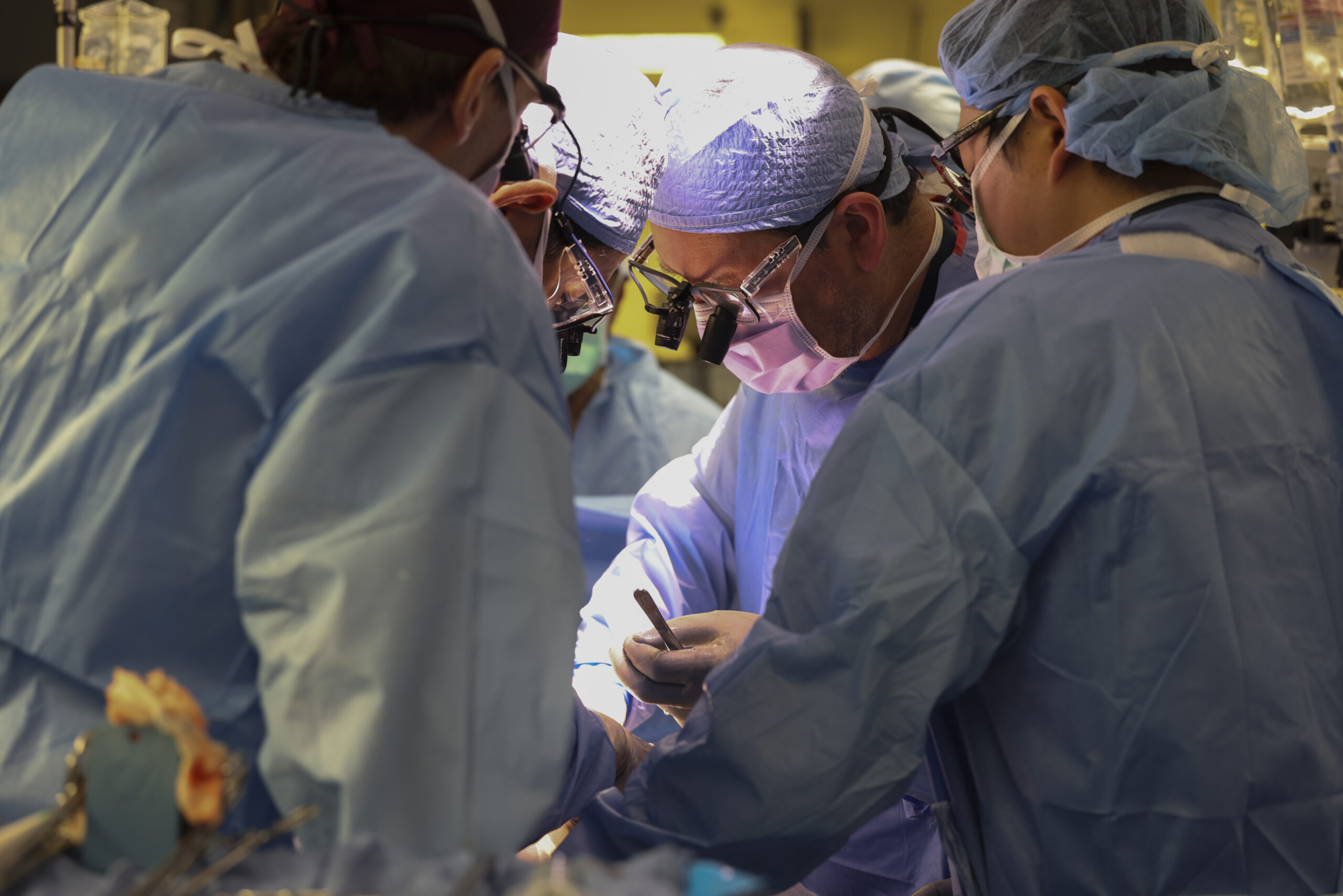 20240316 mcr kidney transplant 188 scaled