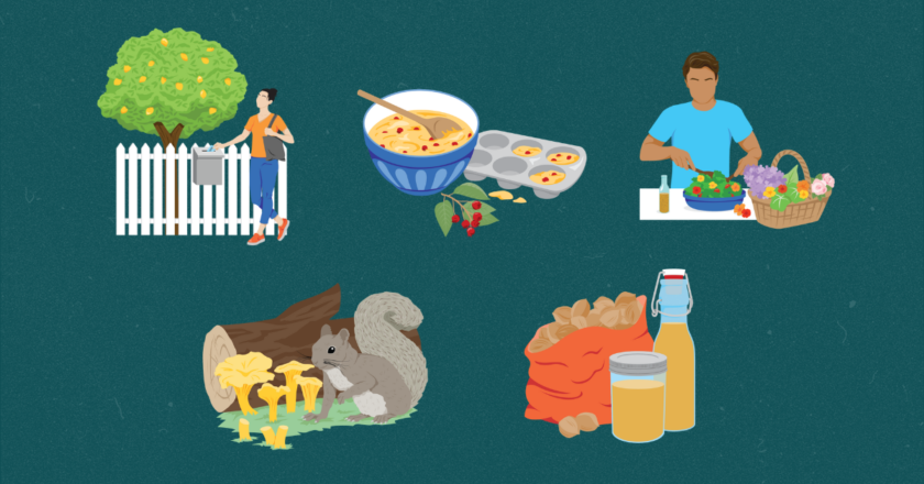 How to Start Foraging, According to TikTokers