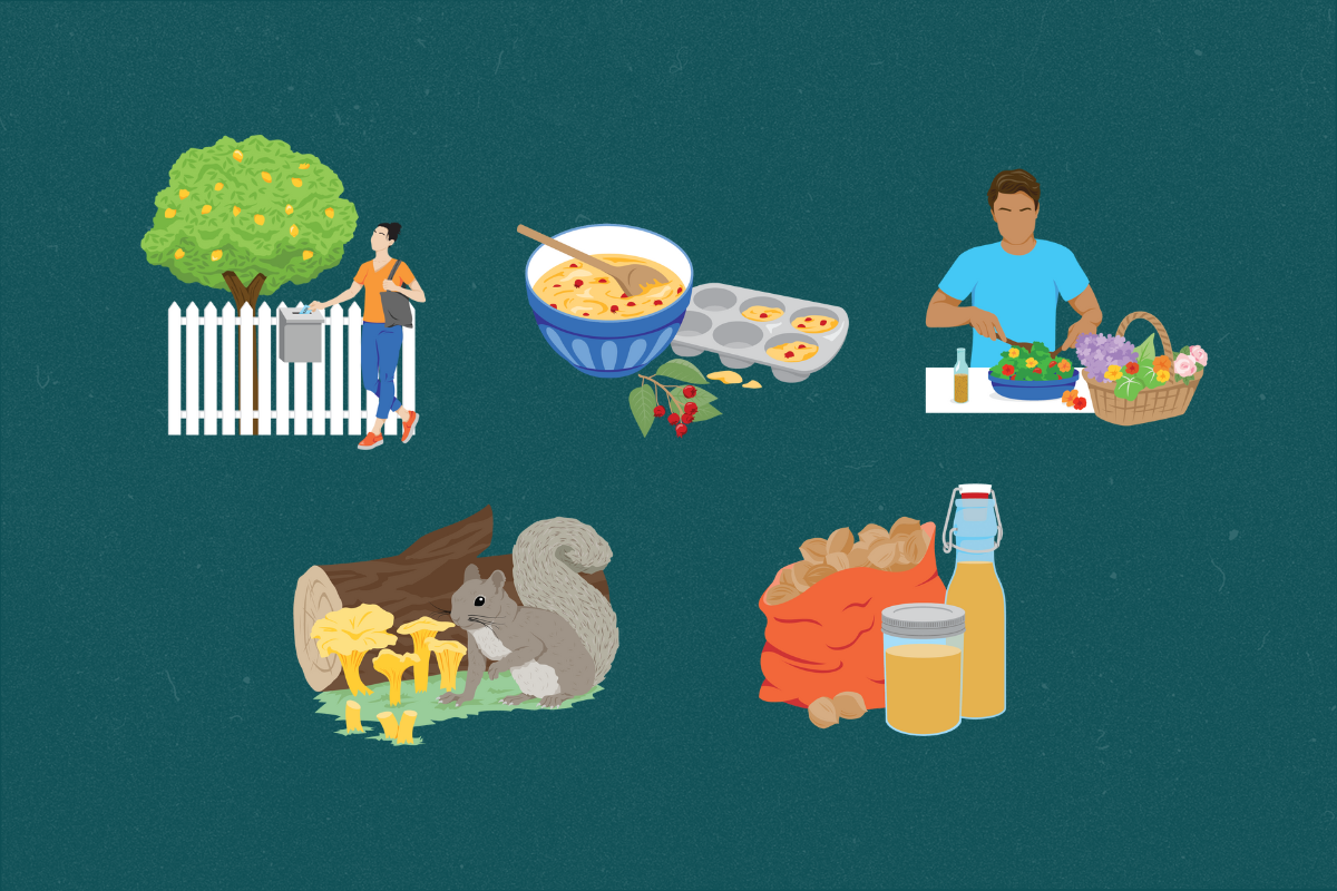 How to Start Foraging According to TikTokers