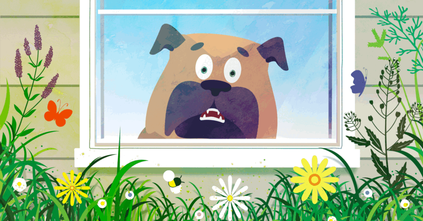 Why So Many Dogs Have Allergies Now