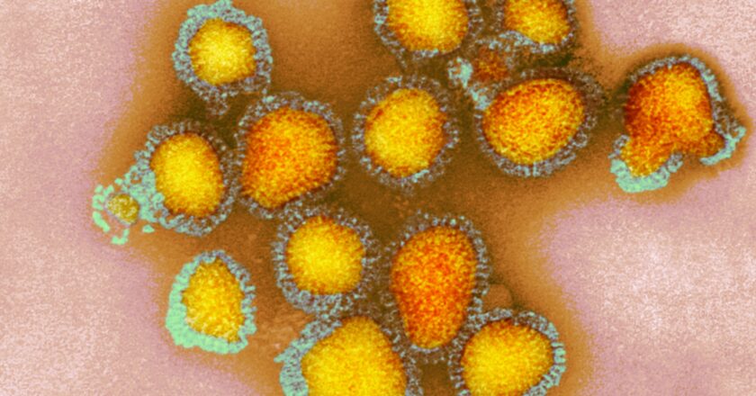Here Are the Viruses to Worry About Right Now