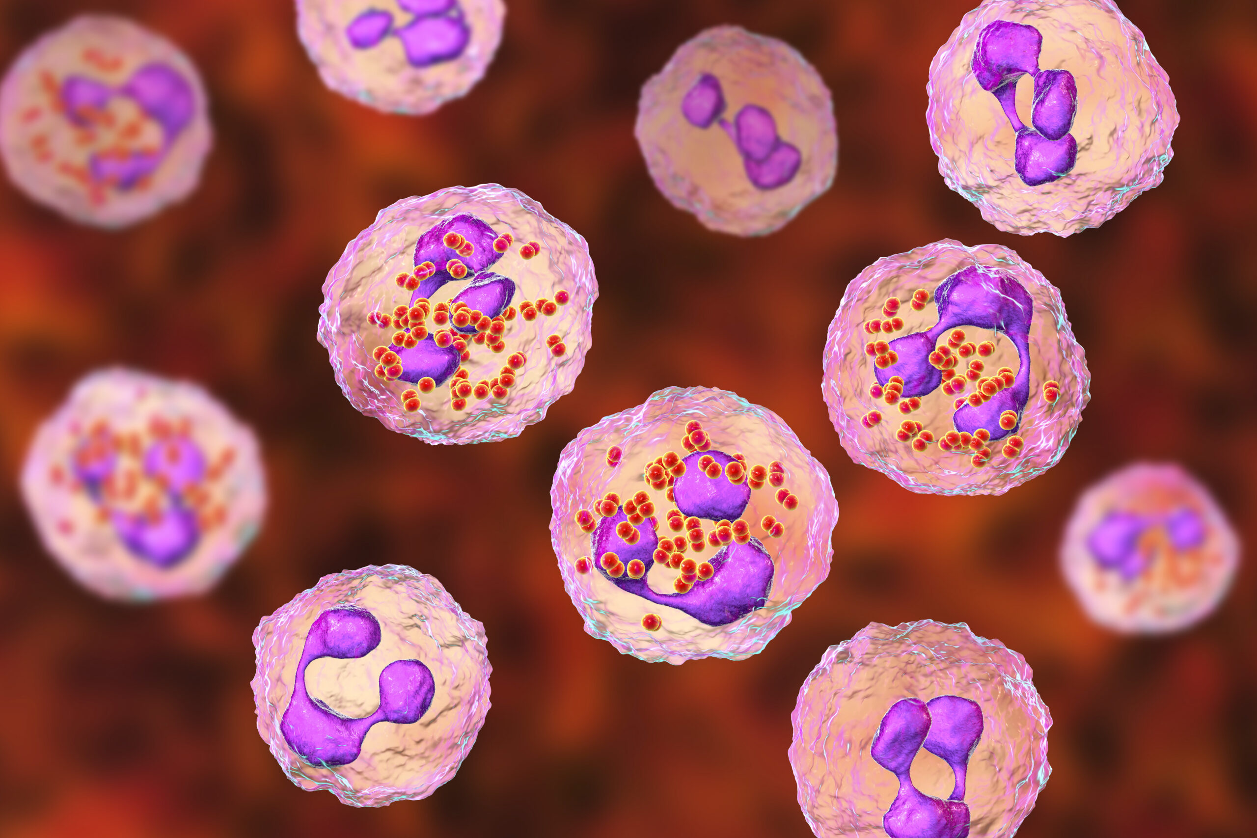 meningococcal disease scaled