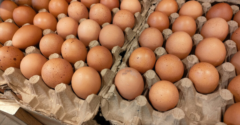 Is It Safe to Eat Eggs and Chicken During the Bird Flu Outbreak?