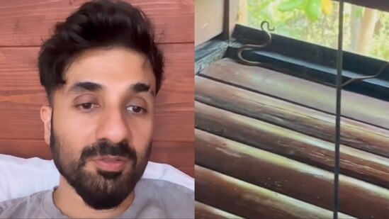 Vir Das shares video of snake in his eco resort