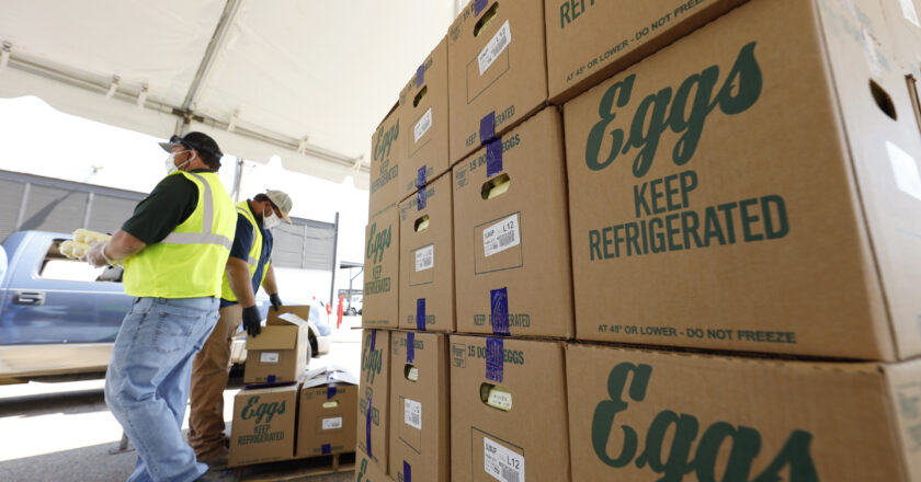 Bird Flu Was Found in Chickens at the Largest U.S. Egg Producer