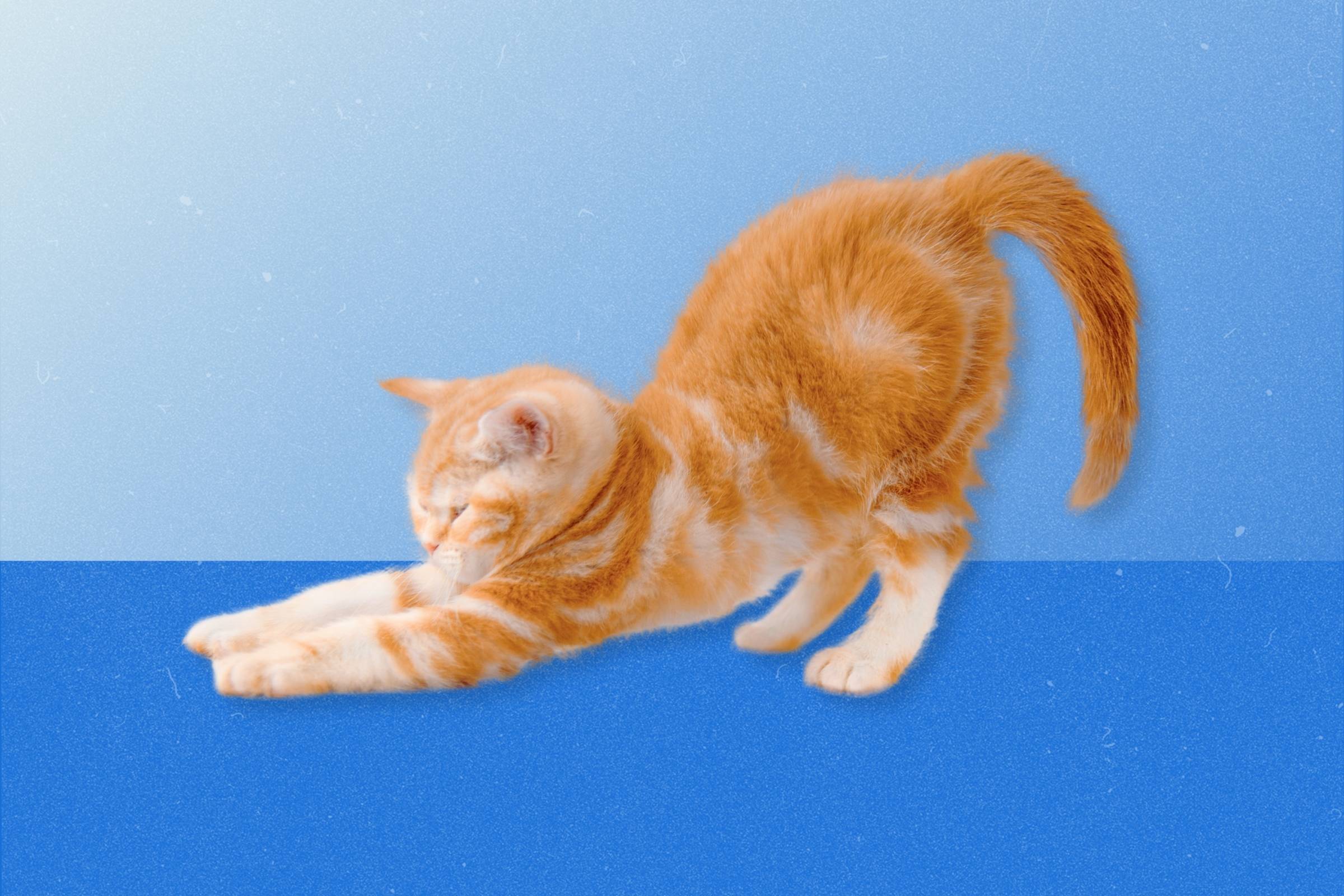 stretching