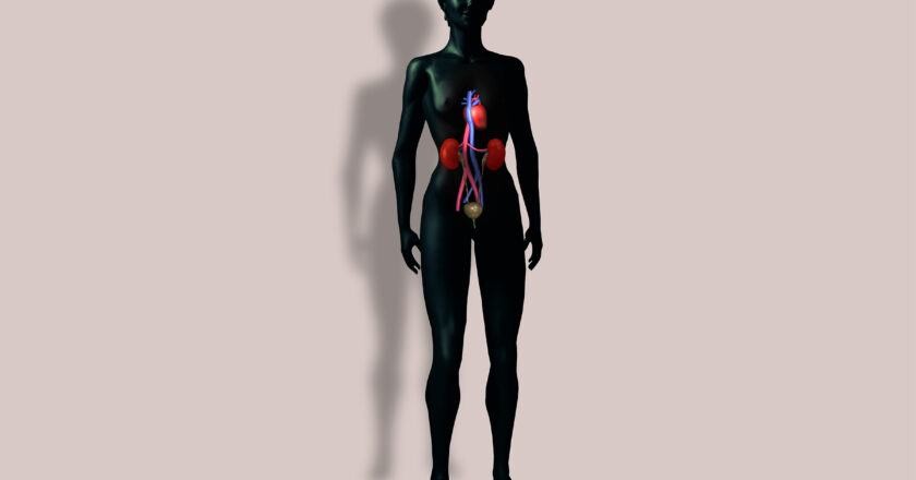 Why Heart Disease Research Still Favors Men