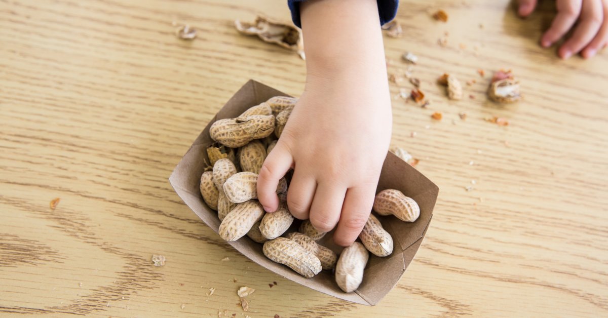 Peanut Allergy Study