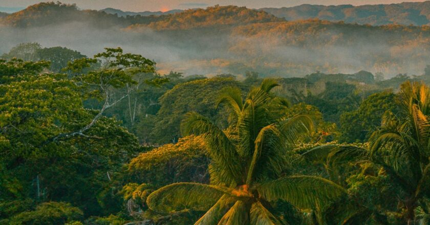 The Beckley Retreat – a trip of a lifetime?
