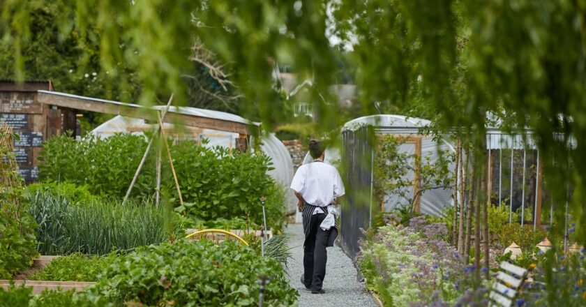 The Eco Weekender: The Pig at Bridge Place, Kent