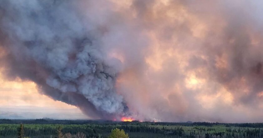 How Inhaling Wildfire Smoke Can Affect You in the Long Term