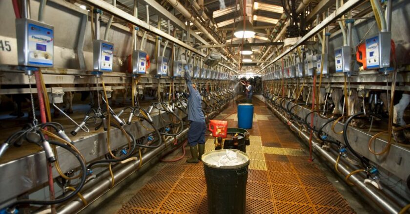 Should I Worry About Catching the Bird Flu?