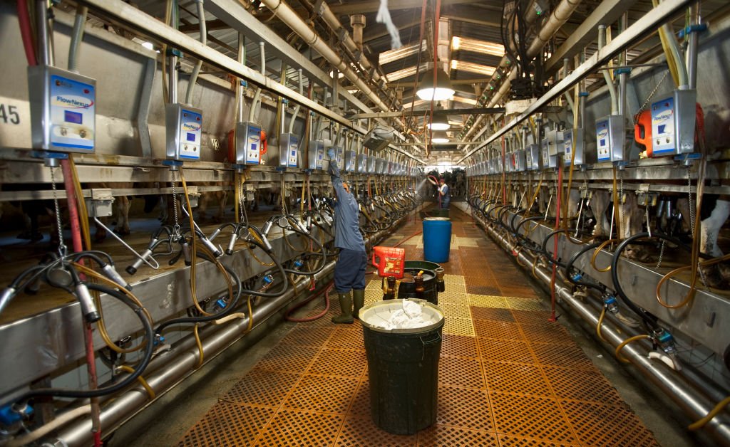 dairy farm