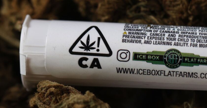 The Health Hazards of Legalizing Marijuana