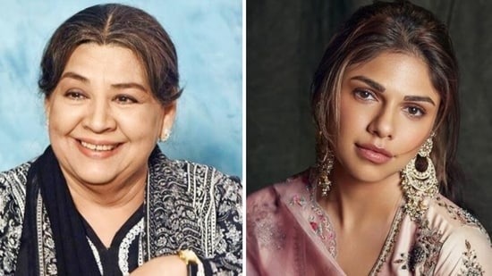 Farida Jalal says people shouldnt be mean to Heeramandi co star