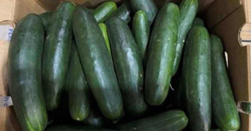 Here’s What to Know About the Cucumber Recall
