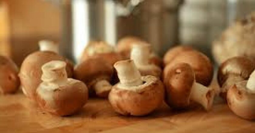 13 school kids fall sick after eating mushrooms cooked at ICDS centre in Bengal