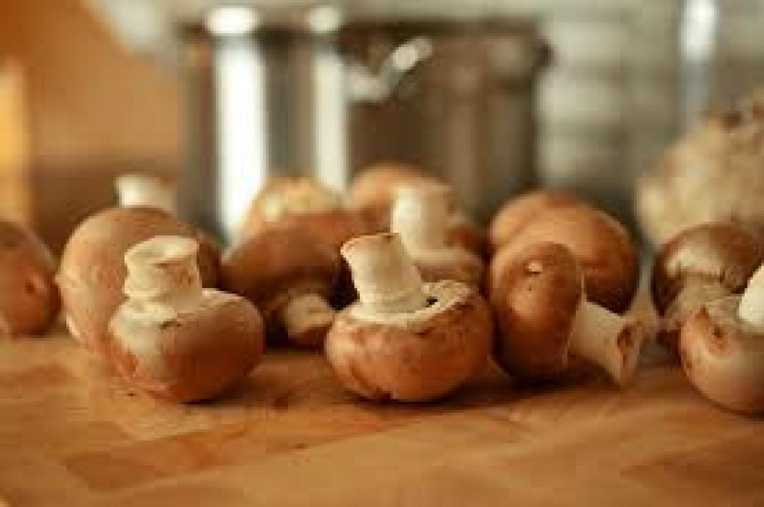 13 school kids fall sick after eating mushrooms cooked at