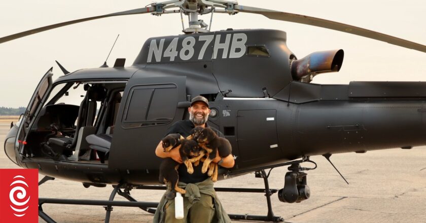 Rescuer runs to save dogs trapped in huge California wildfire