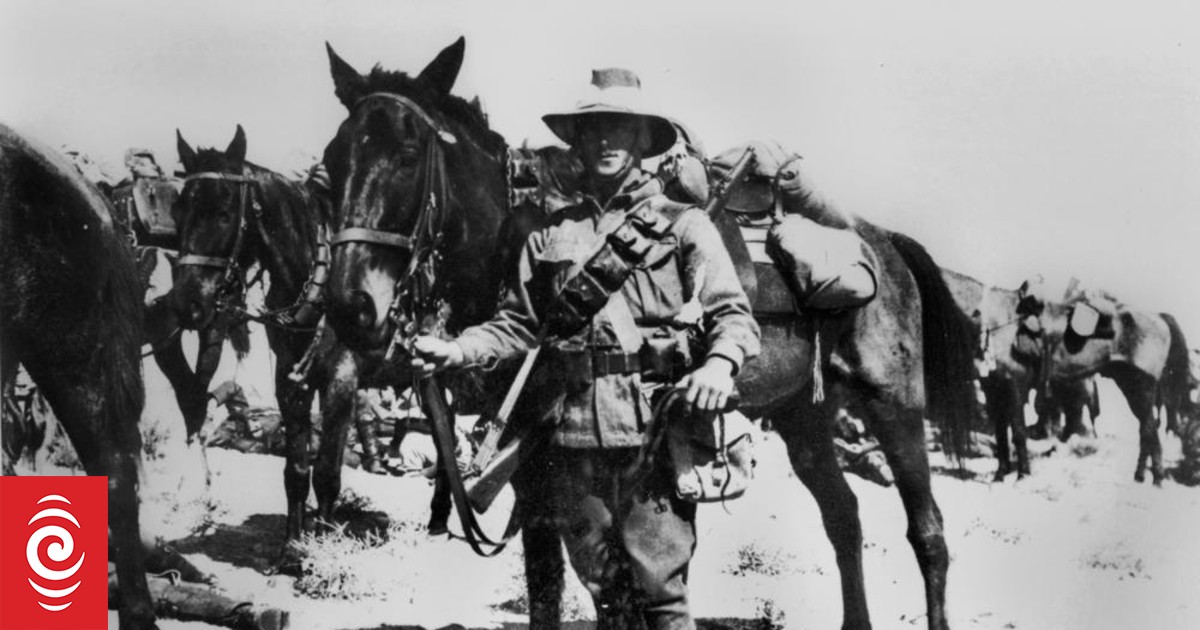 4KMJ628 StateLibQld 2 185147 Member of the Australian 2nd Light Horse on active duty in the Middle East ca 1917 jpg