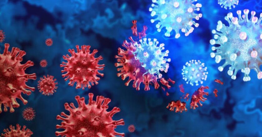 Four new human cases of bird flu found in Colorado, US