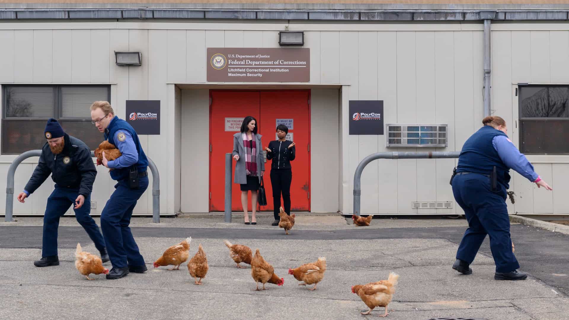 Orange is the New Black Chickens