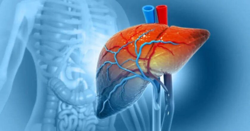 Urgent need to fight hepatitis, curb liver cancer deaths in Southeast Asia: WHO