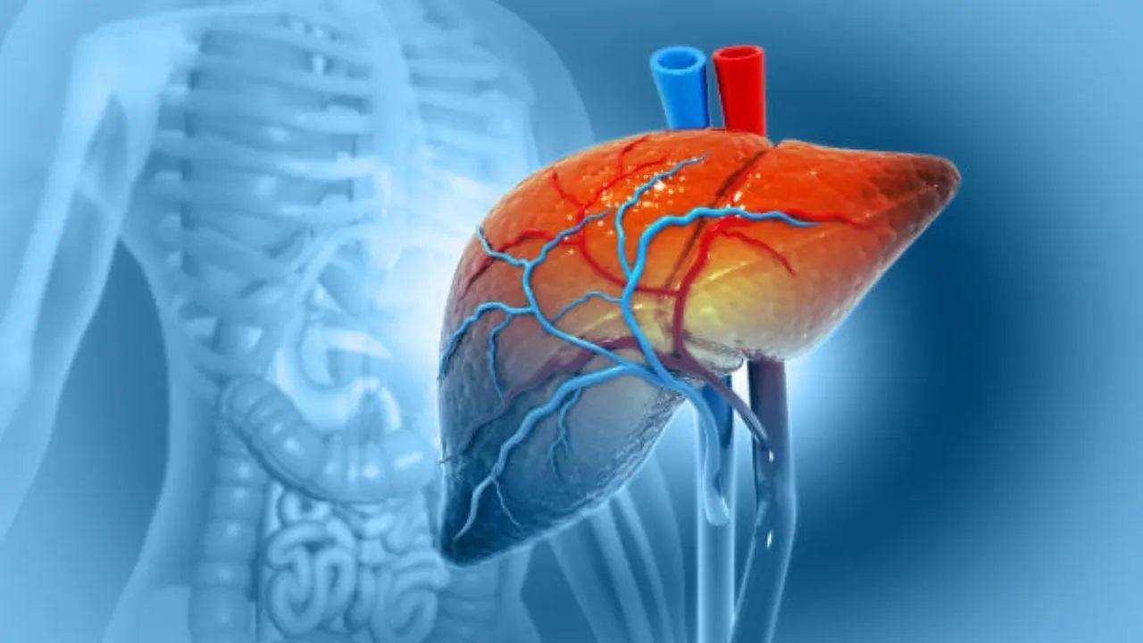 Urgent need to fight hepatitis curb liver cancer deaths in