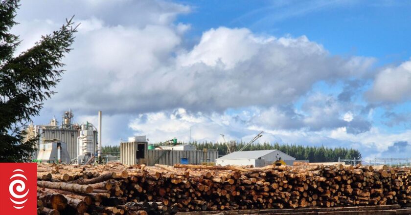 People ‘already moving out of town’ as mills look to close operations