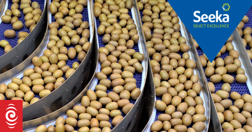 Bumper kiwifruit crop boosts Seeka profits 63%