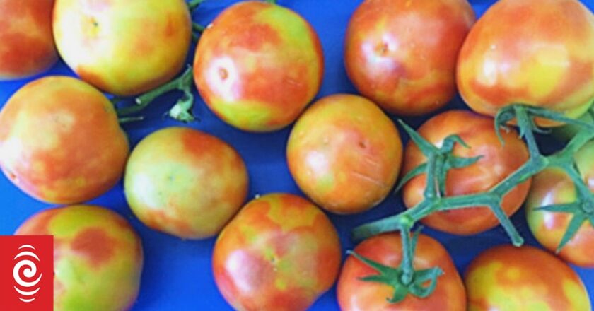 All Australian tomato imports temporarily suspended