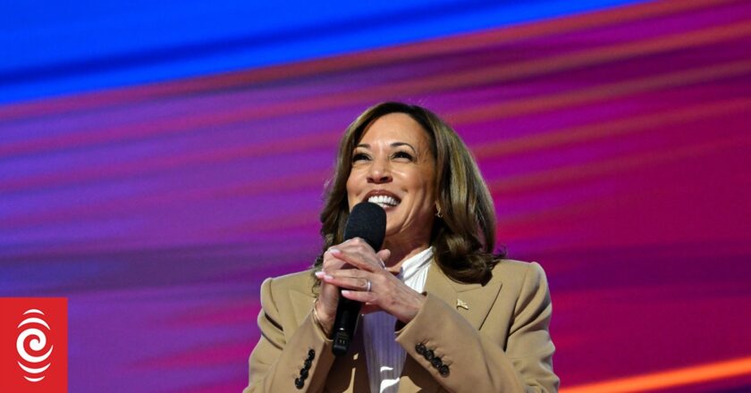 Harris urges Democrats to fight in surprise DNC appearance