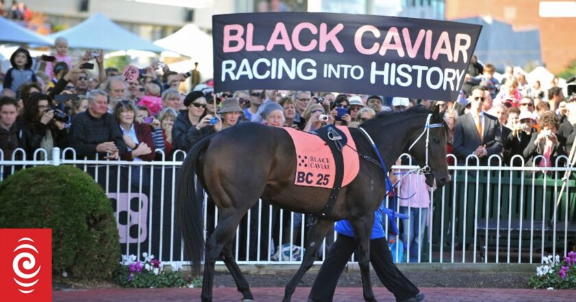Champion racehorse Black Caviar dies a day before her 18th birthday following laminitis disease