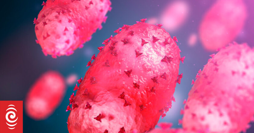 Why has the WHO declared mpox a global health emergency? Here’s what we know so far