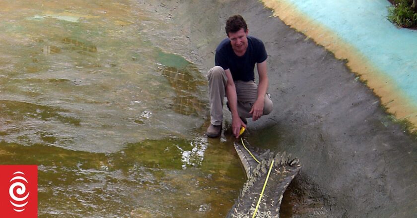 British crocodile expert jailed for sexual abuse of dogs