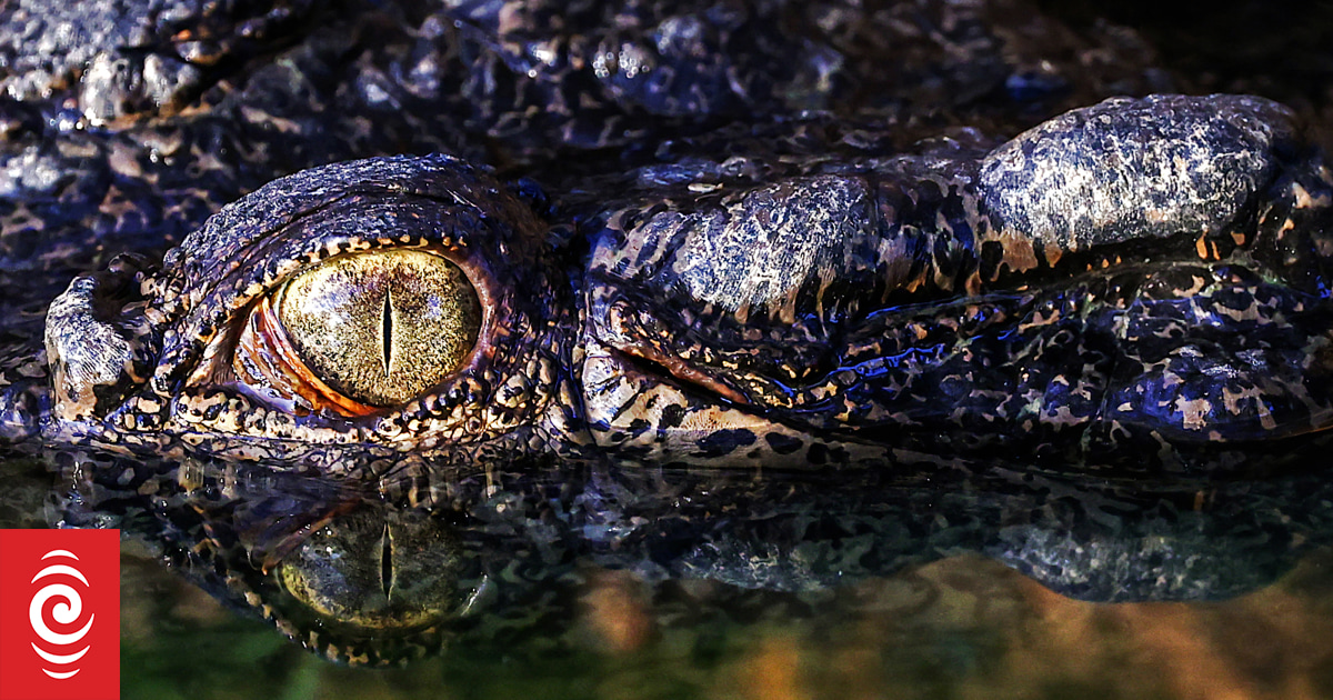 4KLV3I1 000 34KC3XN jpg