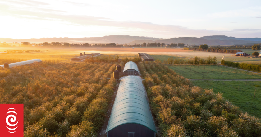 NZ’s only organic chicken farm sold to Inghams