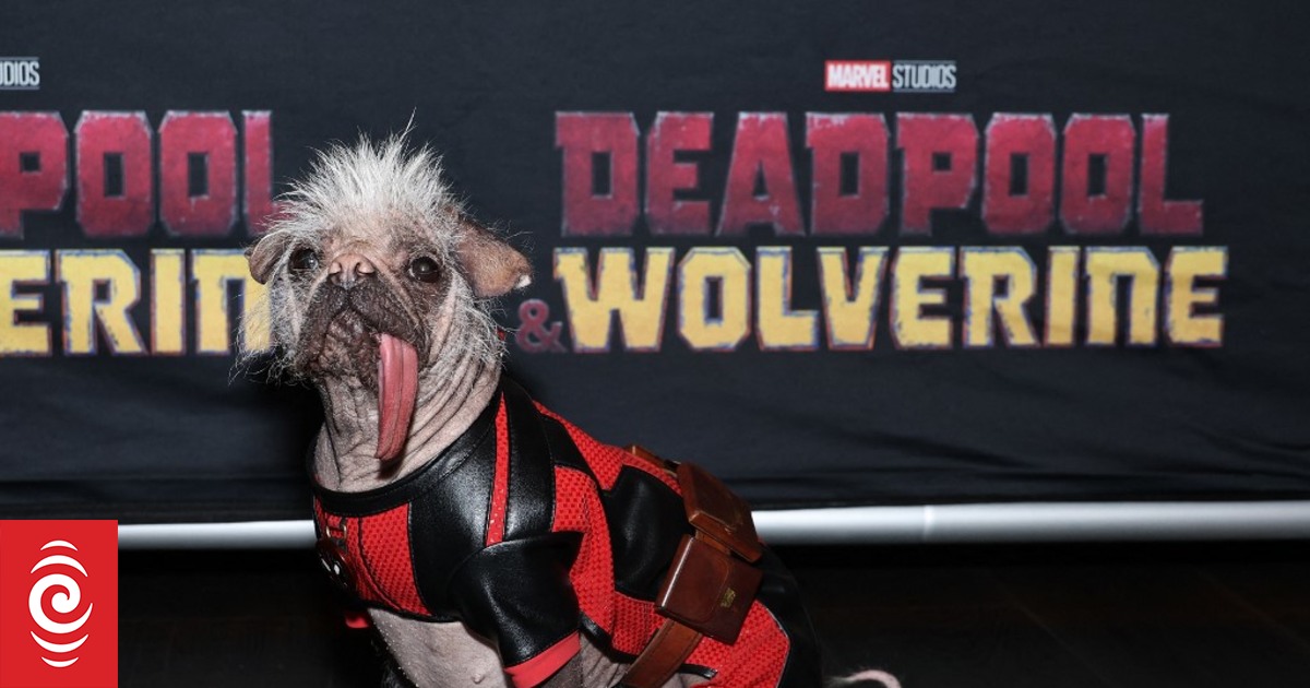 4KM0HCF 063 2163528903 jpg