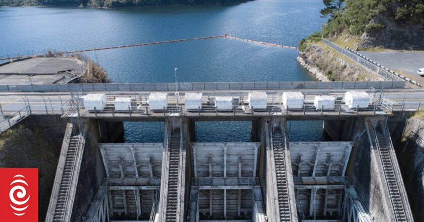 Manawa Energy shares in trading halt