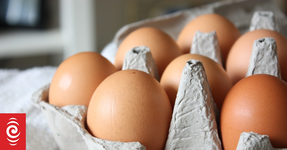 4LBBO08 eggs jpg